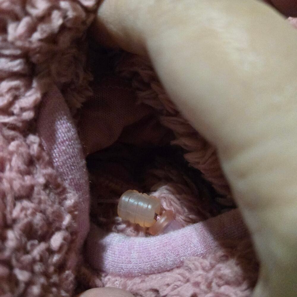 Athleta Girl Pink Sherpa Hoodie Jacket XL 14 Cozy Zip Fleece - Picture 6 of 12